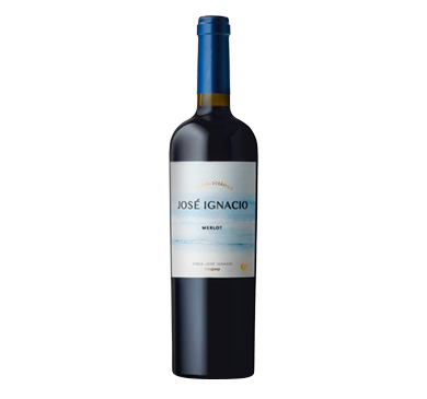 VINO JOSE IGNACIO MERLOT 750 ML
